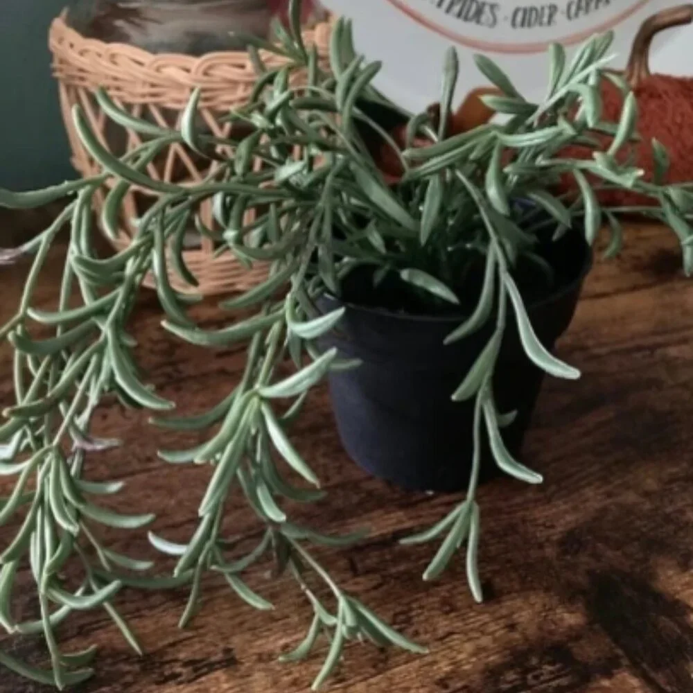 Ikea Fejka Artificial Plant & Bintje Metal Planter
